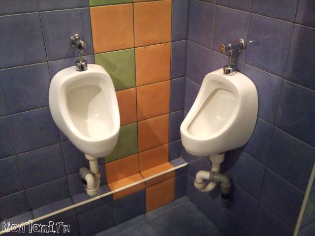 daily picdump weekend edition 88 pics 19.html - 88 HD Photos | Premium Gallery 2011