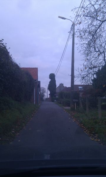 daily picdump weekend edition 88 pics 19.html - 88 HD Photos | Premium Gallery 2011