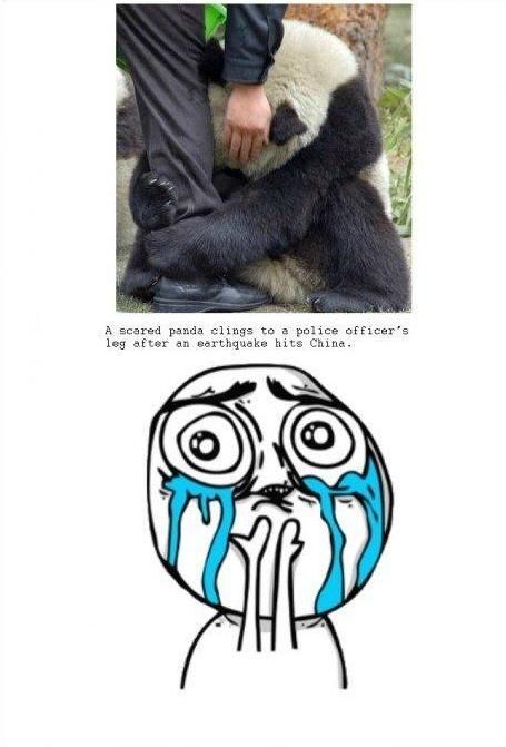 morning picdump 66 pics 4.html - 66 HD Photos | Premium Gallery 2011