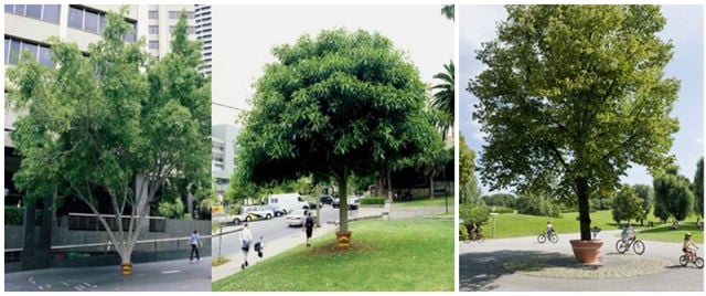 advertising ripoff cases 74 pics 40.html - 74 HD Photos | Premium Gallery 2011