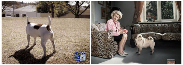 advertising ripoff cases 74 pics 40.html - 74 HD Photos | Premium Gallery 2011