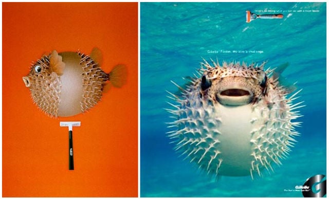 advertising ripoff cases 74 pics 40.html - 74 HD Photos | Premium Gallery 2011