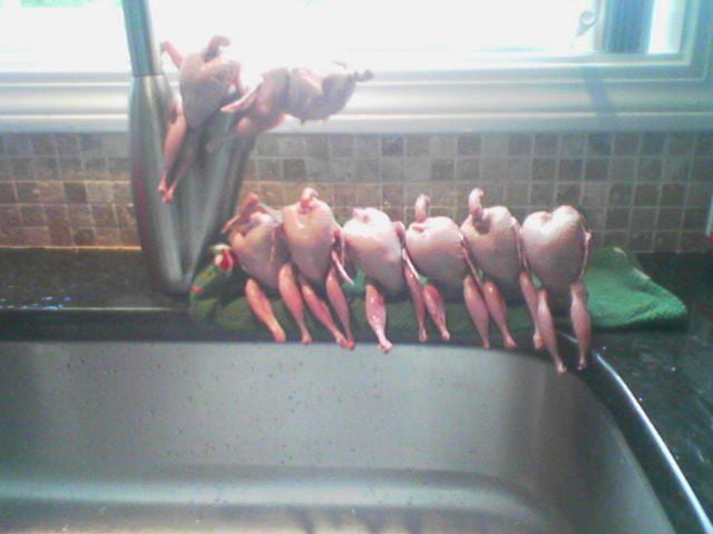 morning picdump 61 pics 12.html - 61 HD Photos | Premium Gallery 2011