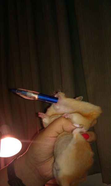 morning picdump 61 pics 12.html - 61 HD Photos | Premium Gallery 2011