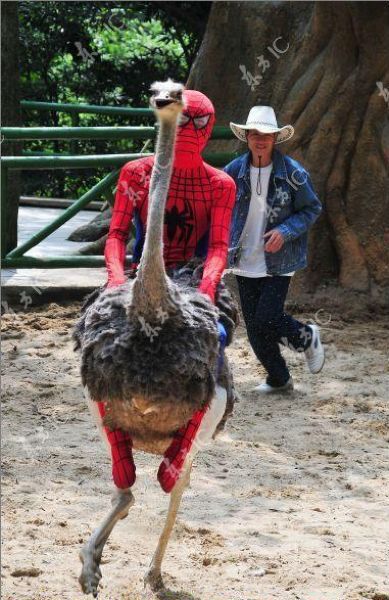 morning picdump 61 pics 12.html - 61 HD Photos | Premium Gallery 2011