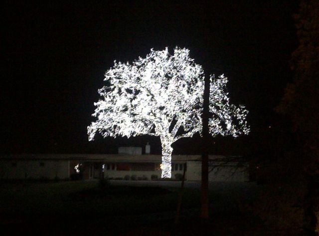 morning picdump 58 pics 28.html - 58 HD Photos | Premium Gallery 2011