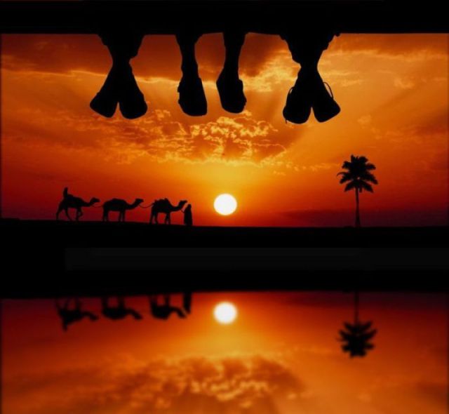 morning picdump 58 pics 5.html - 58 HD Photos | Premium Gallery 2011