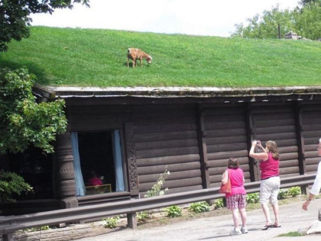 morning picdump 58 pics 5.html - 58 HD Photos | Premium Gallery 2011