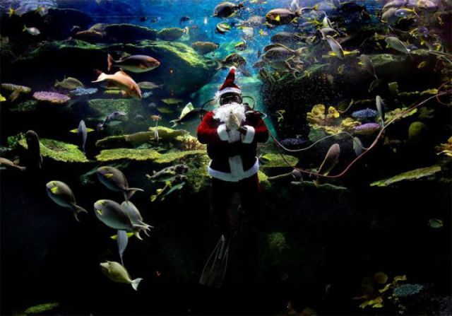 morning picdump 58 pics 5.html - 58 HD Photos | Premium Gallery 2011