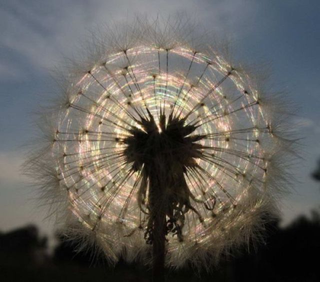 morning picdump 58 pics 5.html - 58 HD Photos | Premium Gallery 2011