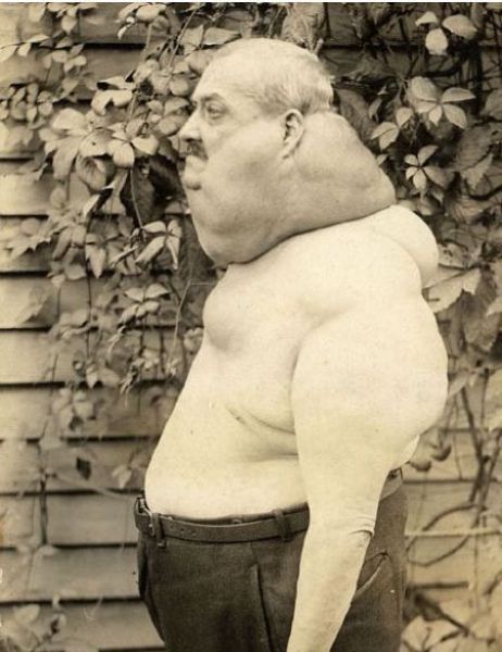 morning picdump 58 pics 16.html - 58 HD Photos | Premium Gallery 2011