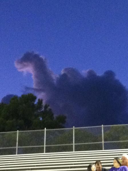 morning picdump 58 pics 16.html - 58 HD Photos | Premium Gallery 2011