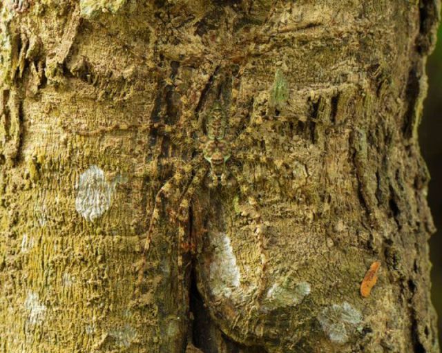 daily picdump 98 pics 18.html - 98 HD Photos | Premium Gallery 2011