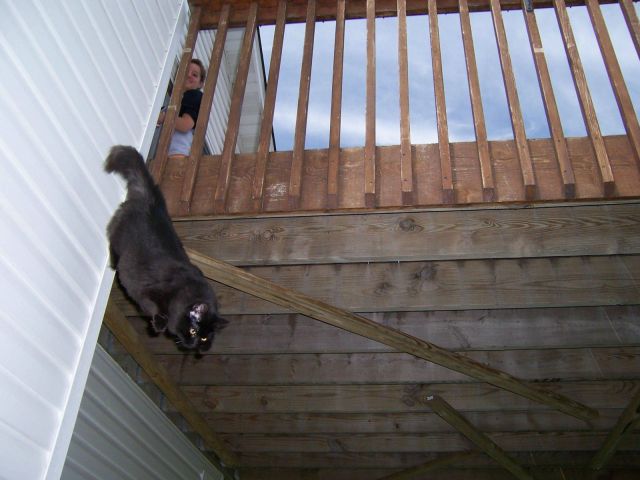 daily picdump 98 pics 18.html - 98 HD Photos | Premium Gallery 2011