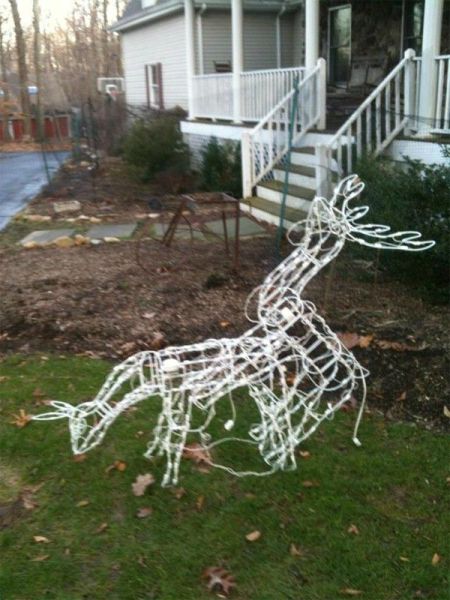 daily picdump 98 pics 18.html - 98 HD Photos | Premium Gallery 2011