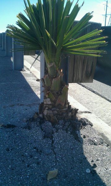 morning picdump 56 pics 17.html - 56 HD Photos | Premium Gallery 2011