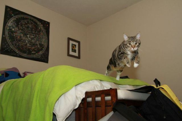 morning picdump 56 pics 17.html - 56 HD Photos | Premium Gallery 2011