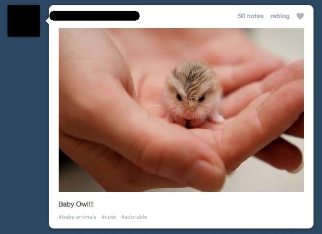 morning picdump 56 pics 17.html - 56 HD Photos | Premium Gallery 2011