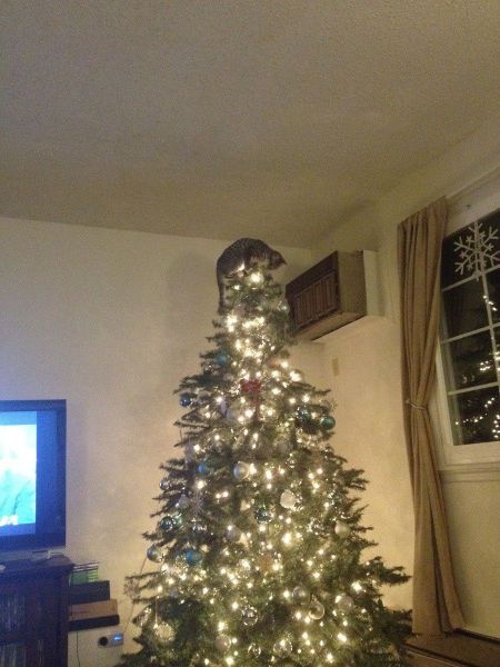 morning picdump 53 pics 19.html - 53 HD Photos | Premium Gallery 2011