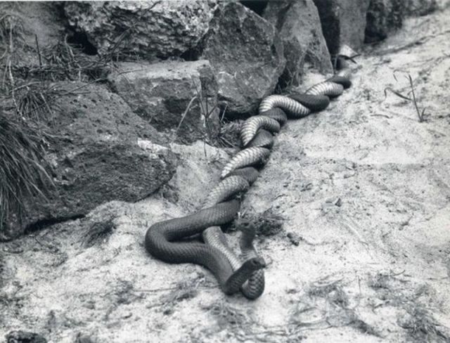 morning picdump 53 pics 19.html - 53 HD Photos | Premium Gallery 2011