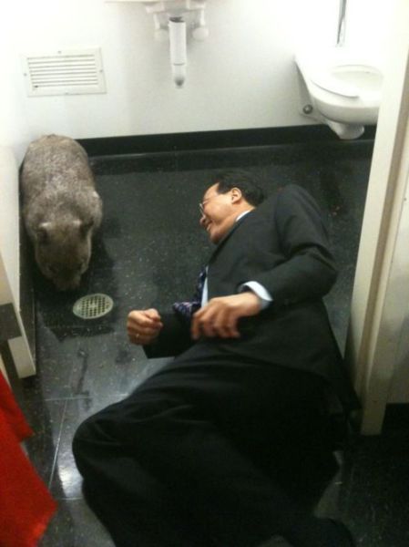 morning picdump 60 pics 28.html - 60 HD Photos | Premium Gallery 2011