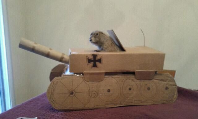 morning picdump 57 pics 16.html - 57 HD Photos | Premium Gallery 2011