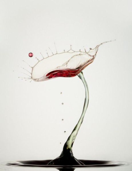 morning picdump 57 pics 16.html - 57 HD Photos | Premium Gallery 2011