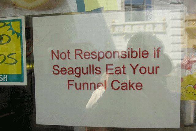 morning picdump 55 pics 17.html - 55 HD Photos | Premium Gallery 2011