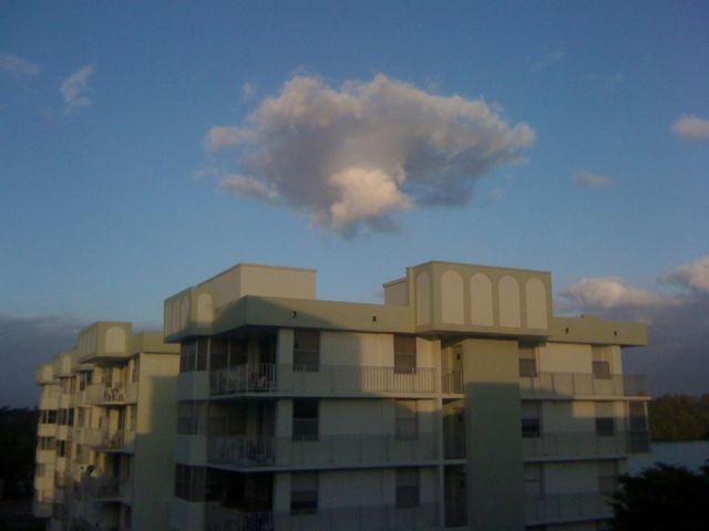 morning picdump 55 pics 17.html - 55 HD Photos | Premium Gallery 2011