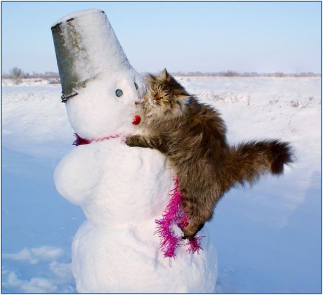 morning picdump 55 pics 17.html - 55 HD Photos | Premium Gallery 2011