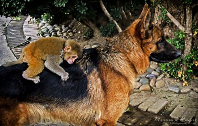 daily picdump weekend edition 89 pics 2.html - 89 HD Photos | Premium Gallery 2011