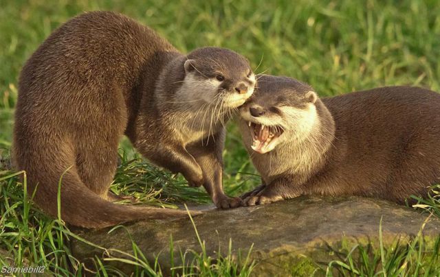 daily picdump weekend edition 89 pics 2.html - 89 HD Photos | Premium Gallery 2011