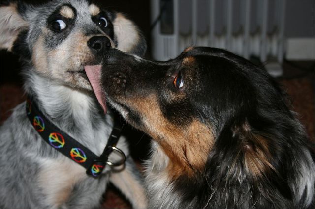 daily picdump weekend edition 89 pics 2.html - 89 HD Photos | Premium Gallery 2011