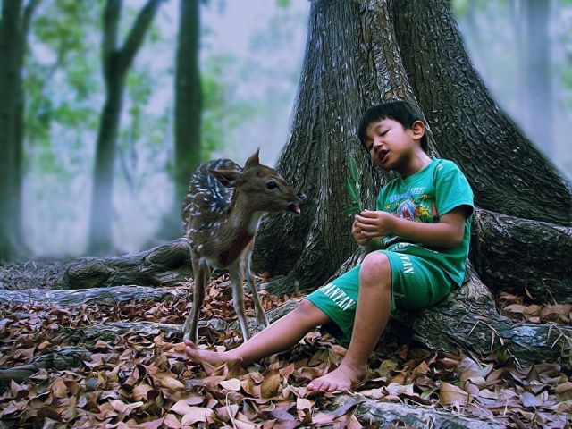 daily picdump weekend edition 89 pics 2.html - 89 HD Photos | Premium Gallery 2011