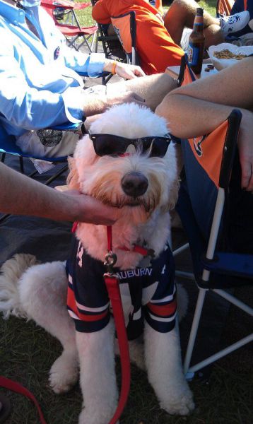 daily picdump weekend edition 89 pics 2.html - 89 HD Photos | Premium Gallery 2011