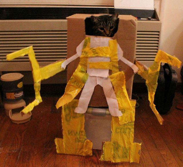 daily picdump weekend edition 89 pics 2.html - 89 HD Photos | Premium Gallery 2011