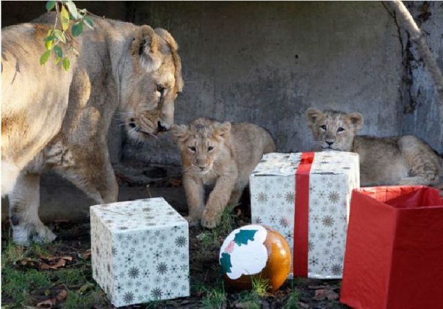 daily picdump weekend edition 89 pics 2.html - 89 HD Photos | Premium Gallery 2011