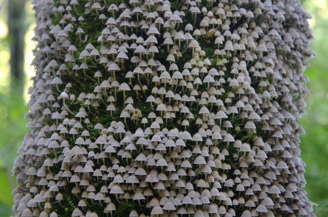 daily picdump weekend edition 89 pics 2.html - 89 HD Photos | Premium Gallery 2011