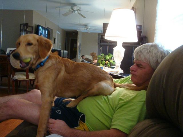 daily picdump weekend edition 89 pics 2.html - 89 HD Photos | Premium Gallery 2011