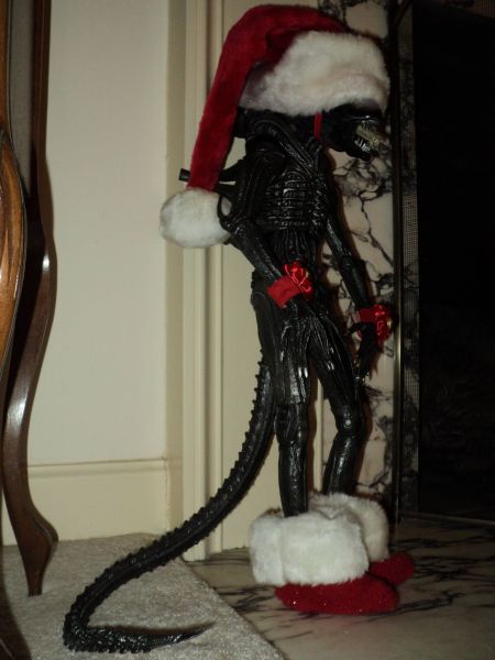 morning picdump 55 pics 17.html - 55 HD Photos | Premium Gallery 2011