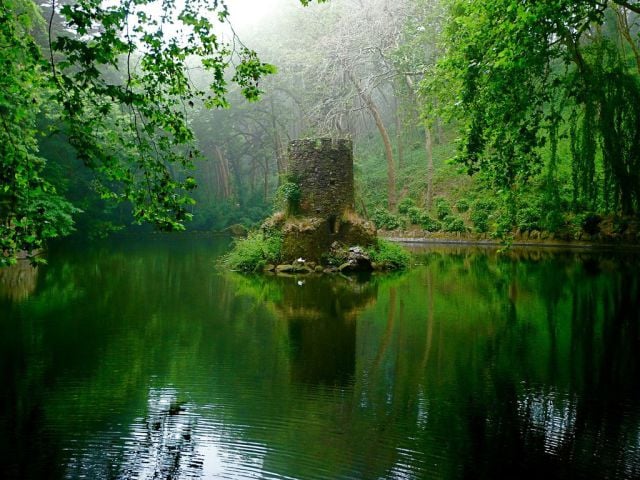 morning picdump 55 pics 17.html - 55 HD Photos | Premium Gallery 2011