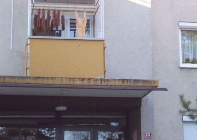 Morning Picdump