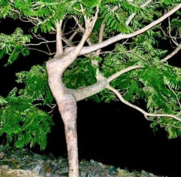 daily picdump 96 pics 35.html - 96 HD Photos | Premium Gallery 2011