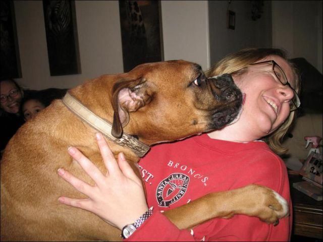 morning picdump 64 pics 22.html - 64 HD Photos | Premium Gallery 2011