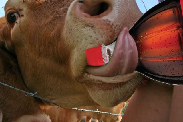 morning picdump 64 pics 22.html - 64 HD Photos | Premium Gallery 2011