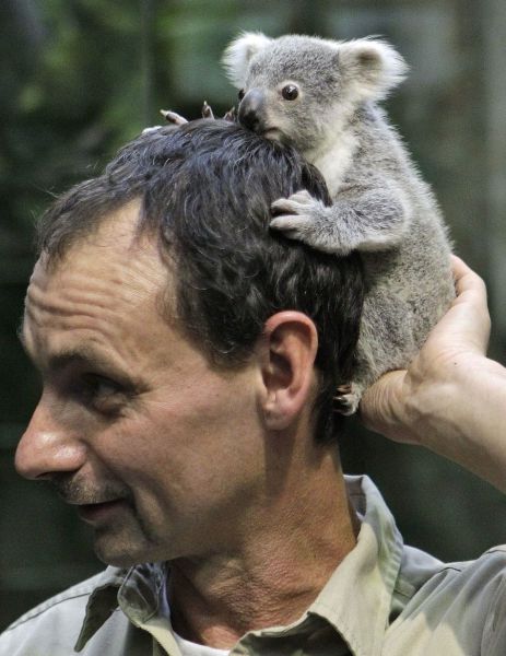 daily picdump 100 pics 16.html - 100 HD Photos | Premium Gallery 2011