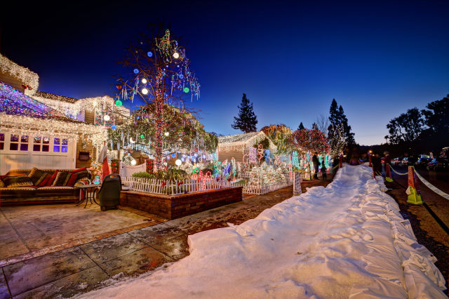 daily picdump 100 pics 16.html - 100 HD Photos | Premium Gallery 2011