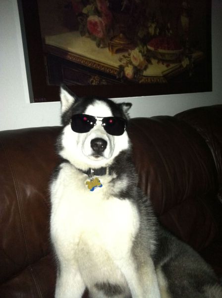 daily picdump 100 pics 16.html - 100 HD Photos | Premium Gallery 2011