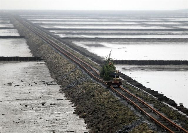 daily picdump 100 pics 16.html - 100 HD Photos | Premium Gallery 2011