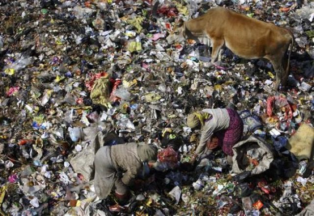 daily picdump 100 pics 16.html - 100 HD Photos | Premium Gallery 2011